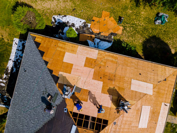 Best Storm Damage Roof Repair  in Grand Meadow, MN