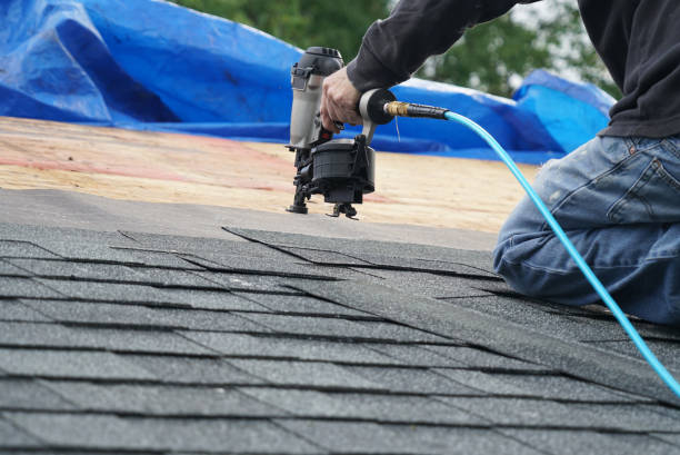 Best Storm Damage Roof Repair  in Grand Meadow, MN